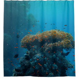 Rideaux De Douche Jolies Poissons Et Barrière