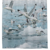 Rideaux De Douche Kittiwakes volant (Devant)