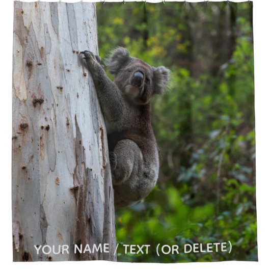 Rideaux De Douche Koala Australie (Devant)