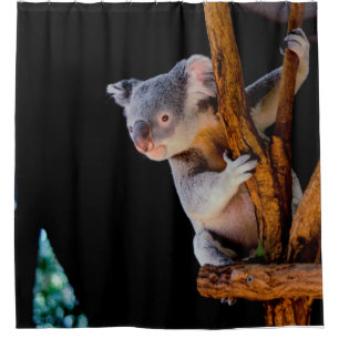 Rideaux De Douche Koala Cute en gris arbre