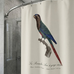 Rideaux De Douche La Conure emmaillotée, Pyrrhura Picta