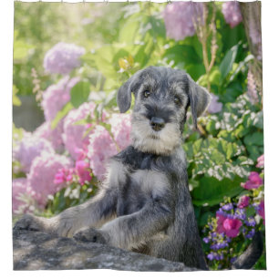 Rideaux De Douche La coquelette Schnauzer dans un jardin fleuri :