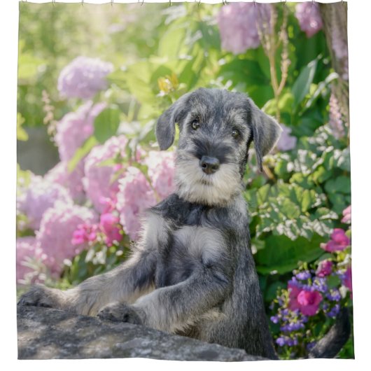 Rideaux De Douche La coquelette Schnauzer dans un jardin fleuri : (Devant)