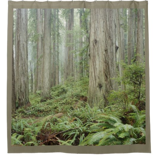 RIDEAUX DE DOUCHE LA FORÊT (Devant)