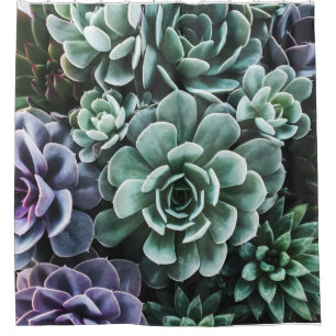 Rideaux De Douche La nature Plante verte Succulente