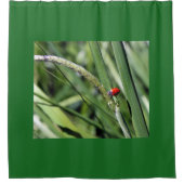 Rideaux De Douche Ladybug (Coccinellidae) (Devant)