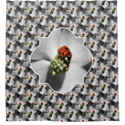 Rideaux De Douche Ladybug On Dogwood Flower Nature Pattern  (Devant)