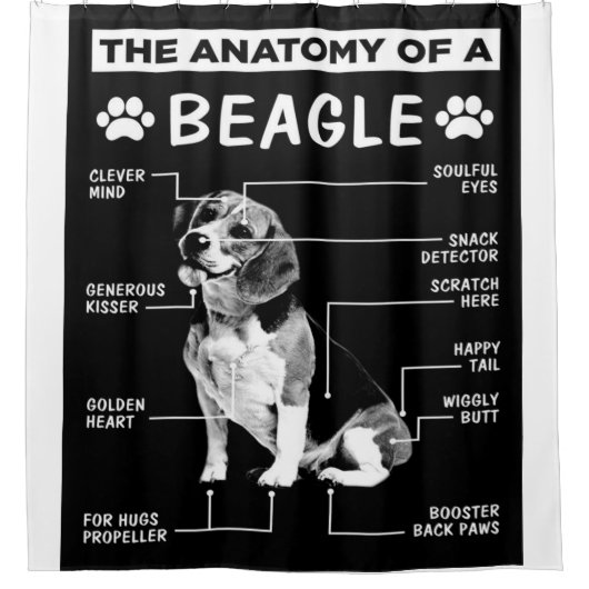 Rideaux De Douche L'Anatomie D'Un Chien Beagle (Devant)
