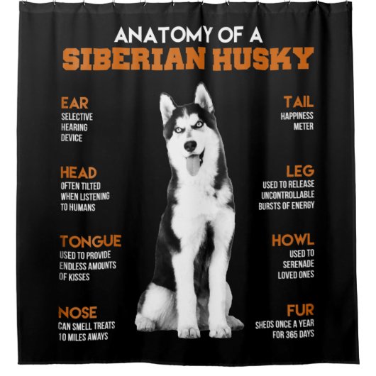 Rideaux De Douche L'anatomie d'un Husky Sibérien L'art drôle (Devant)