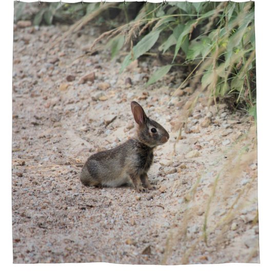 Rideaux De Douche Lapin (Devant)