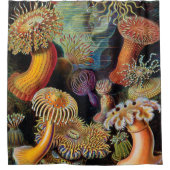 Rideaux De Douche L'art de la nature par Ernst Haeckel (Devant)
