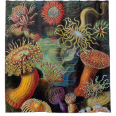 Rideaux De Douche L'art de la nature par Ernst Haeckel (Devant)