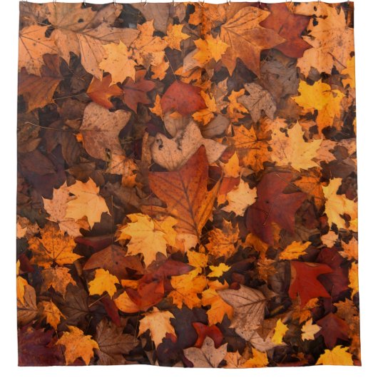 Rideaux De Douche l'automne (Devant)
