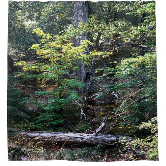 Rideaux De Douche L'automne est là...... (Devant)