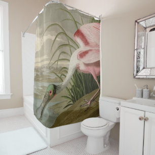 Rideaux De Douche Le bec-de-rose des Oiseaux d'Amérique d'Audubon