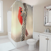 Rideaux De Douche Le cardinal de Cholla (En situation)