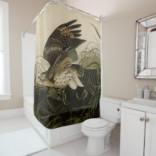 Rideaux De Douche Le faucon d'hiver, les oiseaux d'Amérique de John