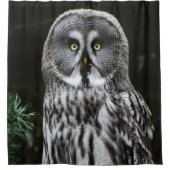 Rideaux De Douche Le grand hibou gris sccnm (Devant)