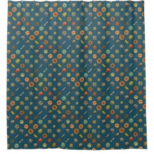 Rideaux De Douche Les bijoux sous-marins d'Ernst Haeckel (Devant)