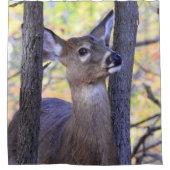 Rideaux De Douche Les cerfs dans les bois (Devant)