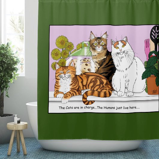 Rideaux De Douche Les chats sont en charge