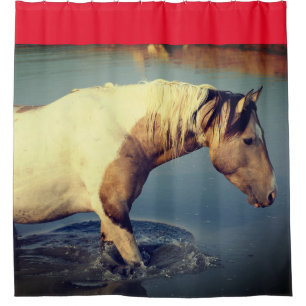 Rideaux De Douche LES CHEVAUX SAUVAGES DE L'UTAH PINTO DANS LE Ridea