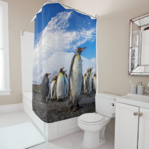 Rideaux De Douche Les pingouins marquent le ciel bleu