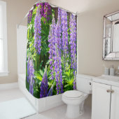 Rideaux De Douche Lila violet rose rose Lupin Fleurs polyphyllus (En situation)