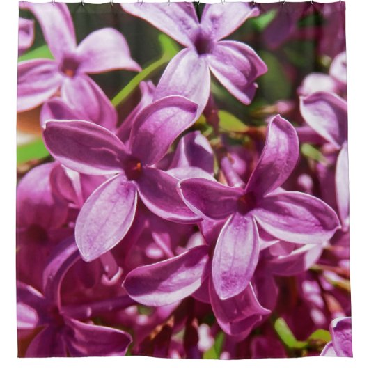 Rideaux De Douche Lilac Closeup (Devant)