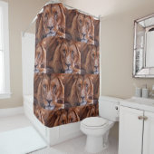 Rideaux De Douche Lion africain (En situation)