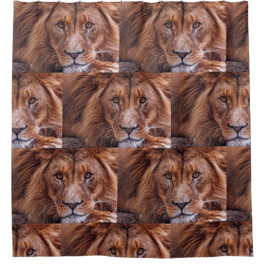 Rideaux De Douche Lion africain (Devant)