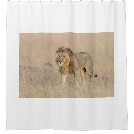 Rideaux De Douche Lion marchant (Devant)