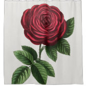 Rideaux De Douche Lithographie de rose antique, François-Frédéric Gr (Devant)