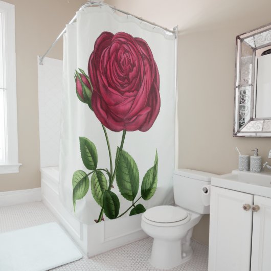 Rideaux De Douche Lithographie de rose antique, François-Frédéric Gr (En situation)