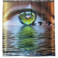 L'oeil du spectateur