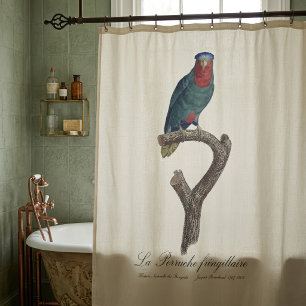 Rideaux De Douche Loriquet à couronne bleue, Vini Australis