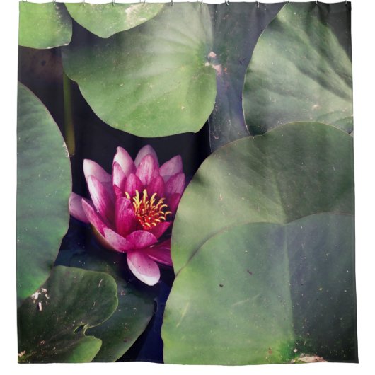 Rideaux De Douche Lotus rose (Devant)