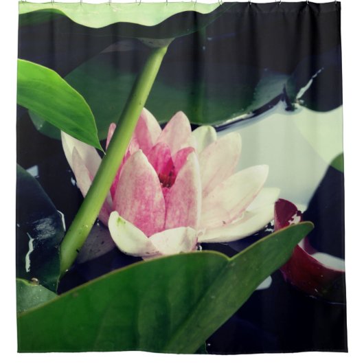 Rideaux De Douche Lotus rose (Devant)