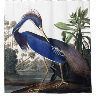 Rideaux De Douche Louisiana Heron par Audubon Vintage Wildlife Bird