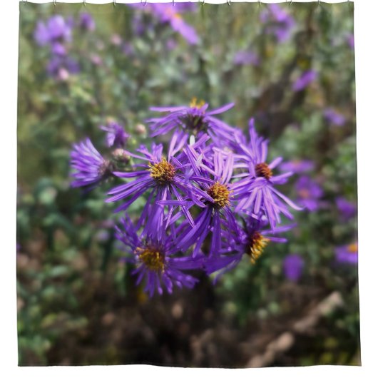 Rideaux De Douche Lueur violette de l'automne (Devant)