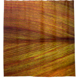 Rideaux De Douche Macro botanique feuille nature texture
