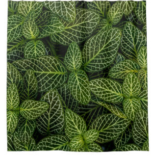 Rideaux De Douche Macro photo de plantes à feuilles vertes