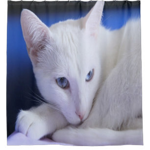 Rideaux De Douche Magnifique Chat Blanc/Ajoutez la photo de votre an