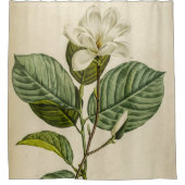 Rideaux De Douche Magnolia blanche (Devant)