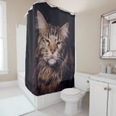 Rideaux De Douche maine coon on a black background younganimal,cat,c (En situation)