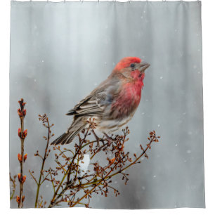 Rideaux De Douche Maison Finch en Neige - Photo originale