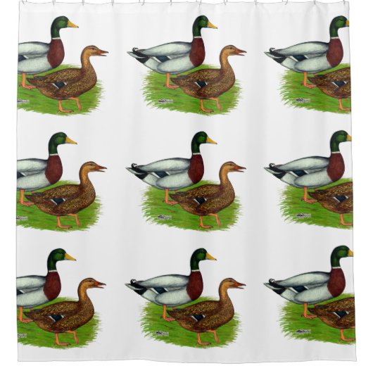 Rideaux De Douche Mallard Drake et Duck (Devant)
