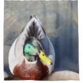 Rideaux De Douche Mallard Duck (Devant)