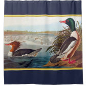 Rideaux De Douche Mallard se penche dans une natation de rivière (Devant)