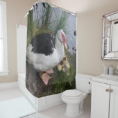 Rideaux De Douche Maman et canetons de canard de Muscovy (En situation)